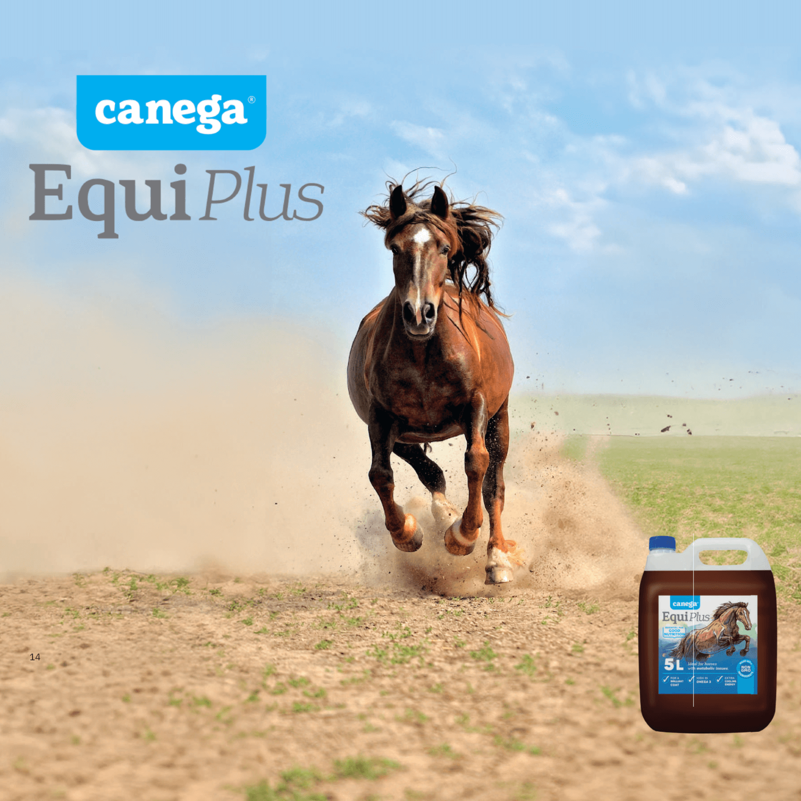 Winter Horse Care Handbook: Canega EquiPlus Releases Comprehensive Guide for South African Horse Owners